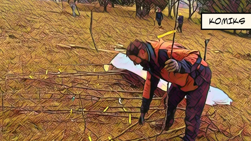 Do Karpat se vracejí ovocné odrůdy