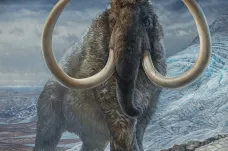 Zemřel hlady. Vědci detailně zmapovali osud mamuta, který žil na Aljašce před 17 tisíci lety