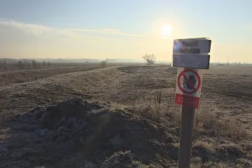 Mezi Novosedly a Jevišovkou vyroste lužní les. Měl by pomoci zadržovat vodu v krajině