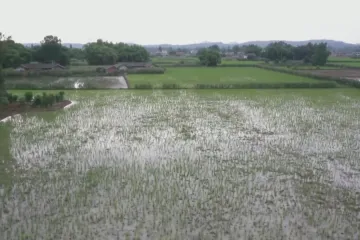 Zahrádky i dětská hřiště musí pryč. Čína potřebuje zemědělskou půdu