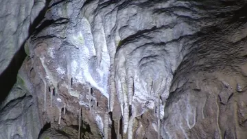 Punkevní jeskyně
