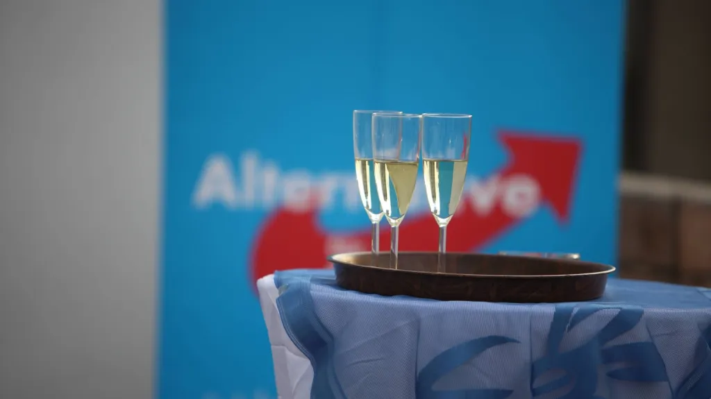 Alternativa pro Německo