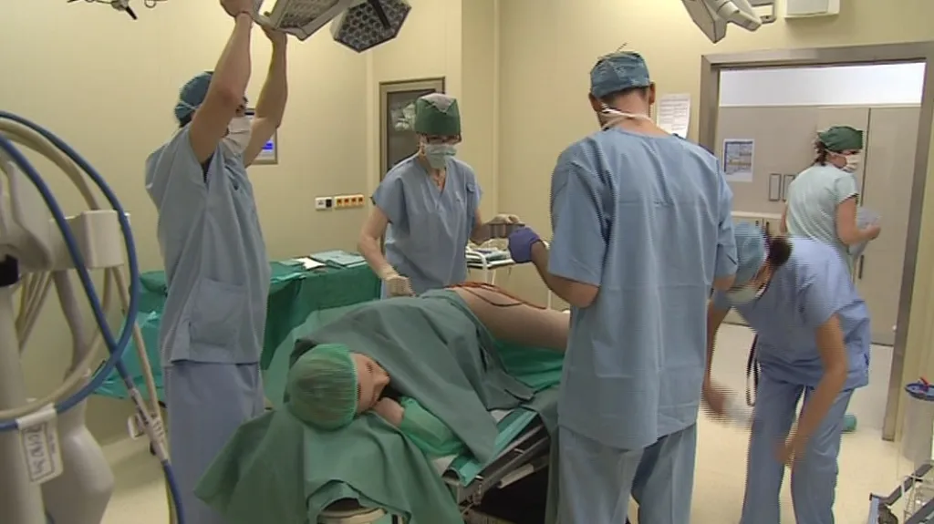 Češi vloni za plastické operace zaplatili více než dvě miliardy
