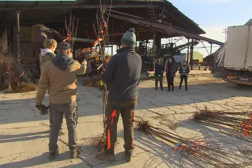 Ovocnáři poslali obcím zasaženým tornádem stovky jabloní, švestek nebo meruněk