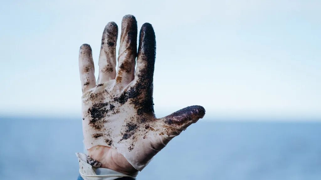 Ilustrační fotografie