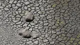 Indie čelí katastrofálnímu vedru