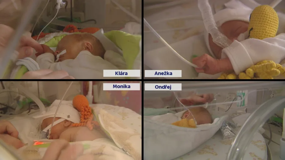 V Česku se po patnácti letech narodila čtyřčata