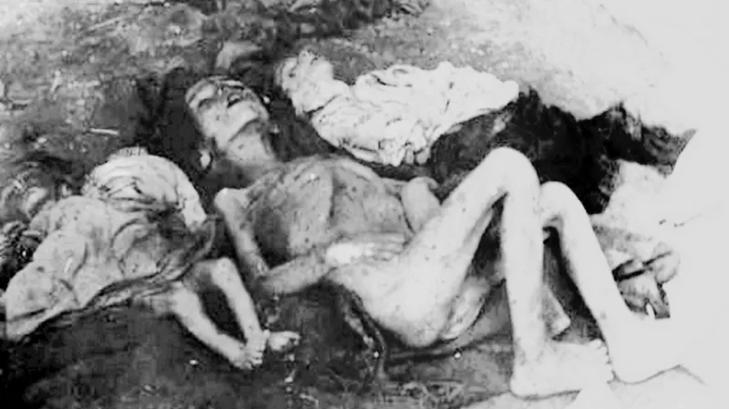 Arménská genocida
