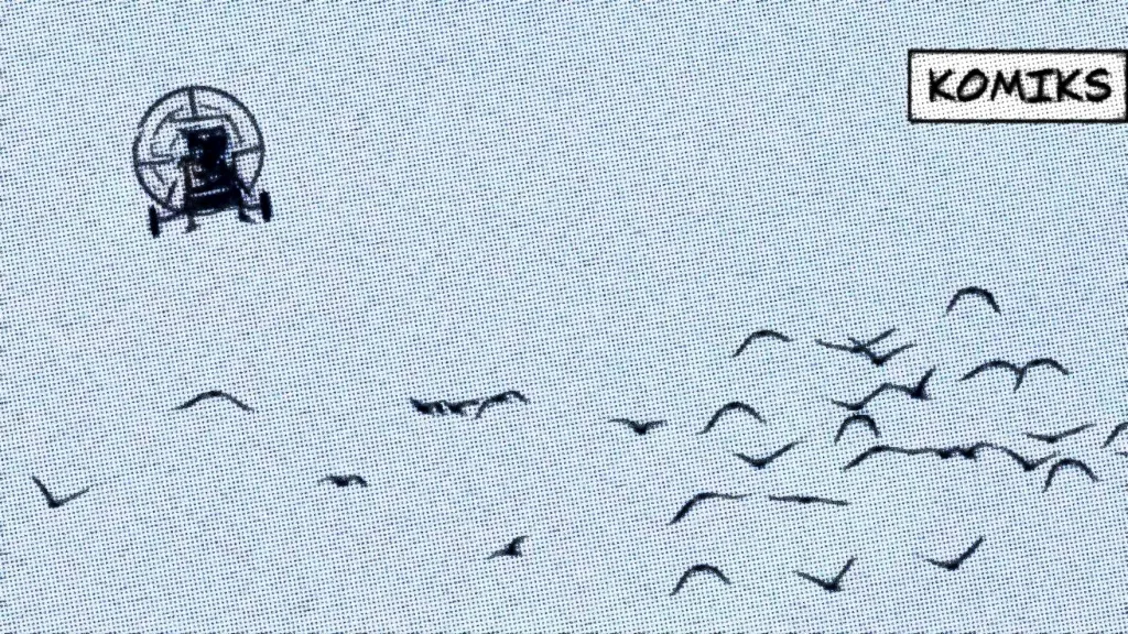 Ohrožený ibis skalní se učí migrační trasy