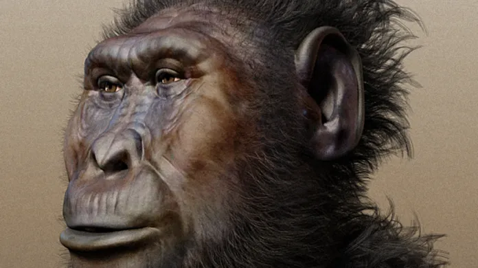 Rekonstrukce vzhledu Paranthropus boisei