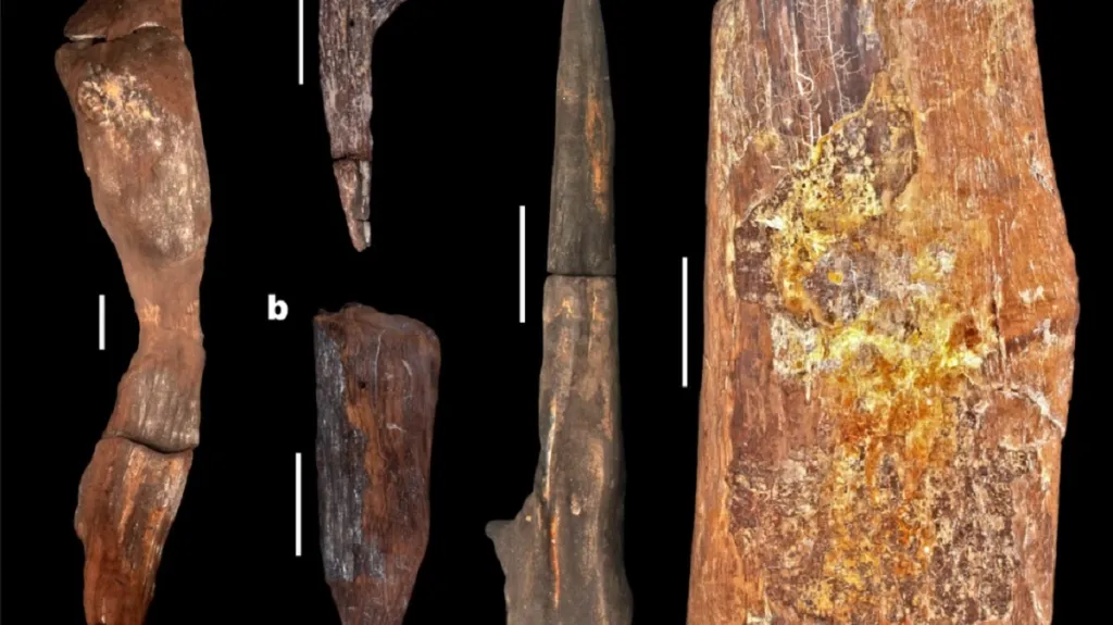 Dřevěné artefakty staré téměř 500 tisíc let