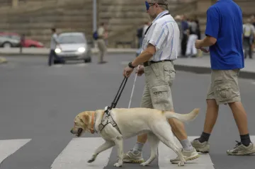 Vědci odhalili tajemství dokonalého sluchu nevidomých