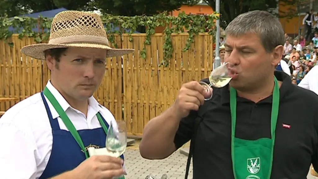 Hodnotitele zaujala vůně, chuť i barva vín