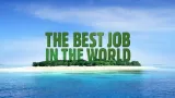 Logo kampaně za nejlepší práci na světě