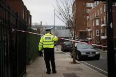 Londýnská policie potřebuje „radikální reformu“, uvedla zpráva zadaná po vraždě Britky policistou