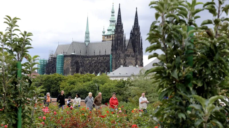 Vinobraní na Pražském hradě