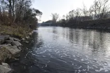 Nejvyšší státní zástupce nařídil prověřit postup v případu otravy řeky Bečvy
