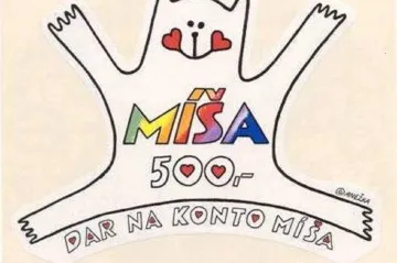 Nadace Charty 77 byla první moderní neziskovou organizací v Československu. Konto Míša si lidé pamatují dodnes 