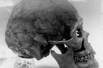 Viking pohřbený mezi Přemyslovci. Tajemný muž z Pražského hradu byl severský bojovník