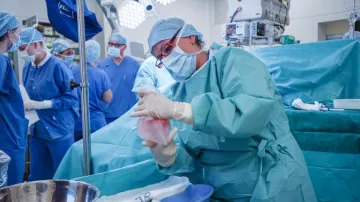 Transplantace ledviny