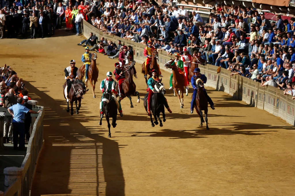Před samotným paliem se žokejové mohou s koňmi seznámit při šesti cvičných závodech. Poslední se většinou koná ráno v den závodu.