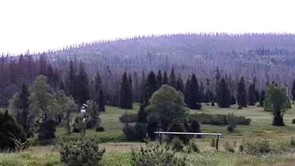 Šumava