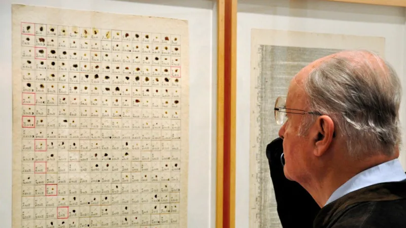 Anatomia Metamorphosis