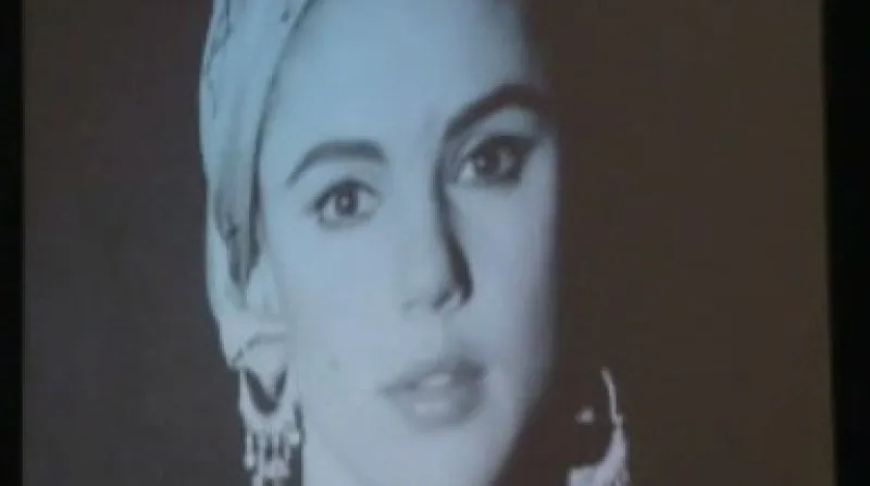 Andy Warhol v Rudolfinu