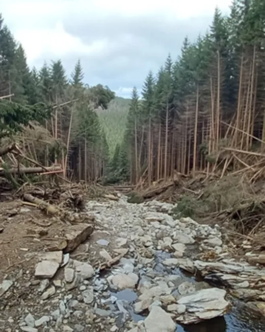 Velké bahnotoky a mury mohou vznikat i v Česku, varují výzkumníci
