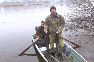 Na Labi ve Štětí uhynuly stovky kilogramů ryb. Tamní papírny už únik neznámé látky přiznaly