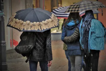 Poradí si Medard se suchem v Česku? Změna klimatu má vliv i na spolehlivou pranostiku