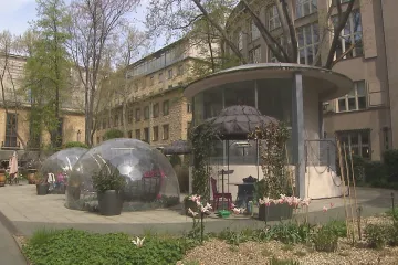 Bývalý šéf ruské Transněfti se v Česku zbavuje majetku