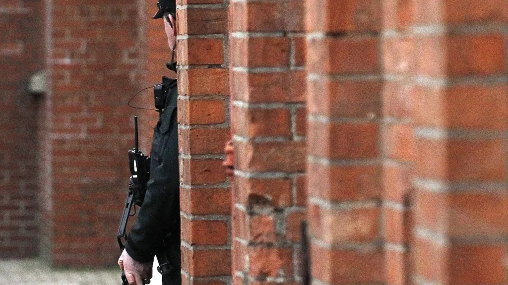 Britská policie