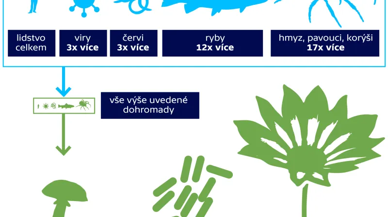 Rostliny tvoří až 82 % světové biomasy