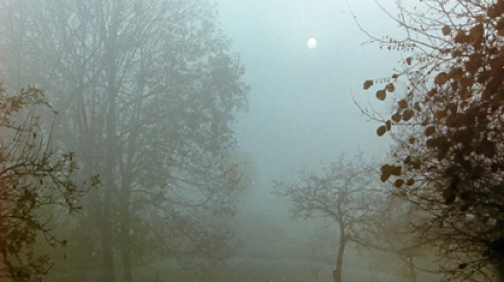 Mlha v krajině