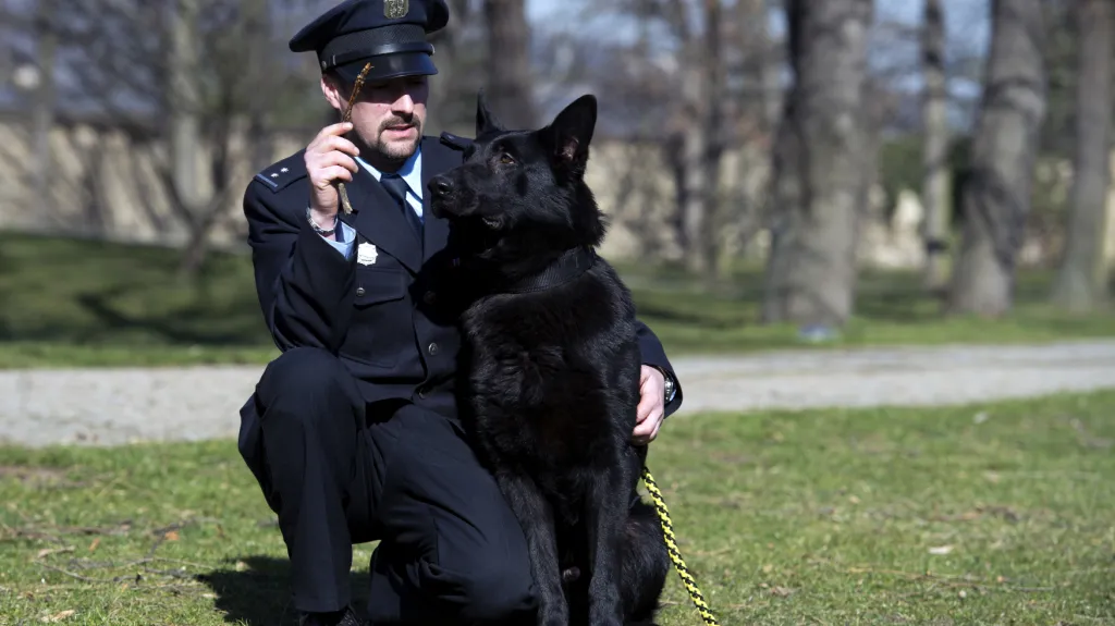 Německý ovčák Gauner se svým psovodem Lubomírem Ábelem.