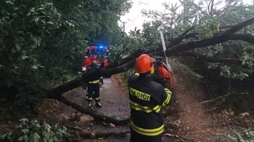 Hasiči odstraňovali následky bouřek v Zlínském kraji