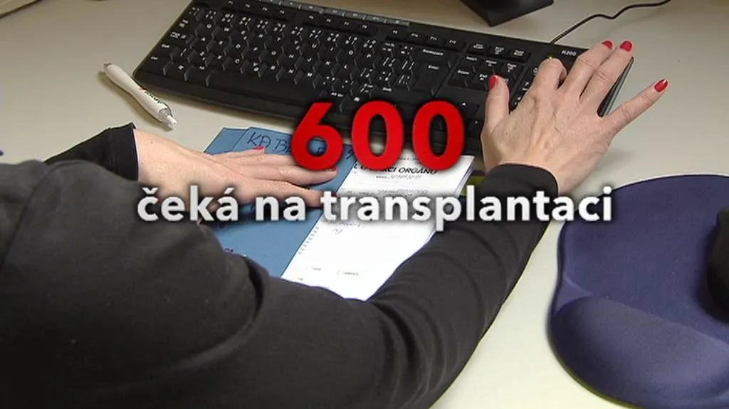 Transplantace ledvin