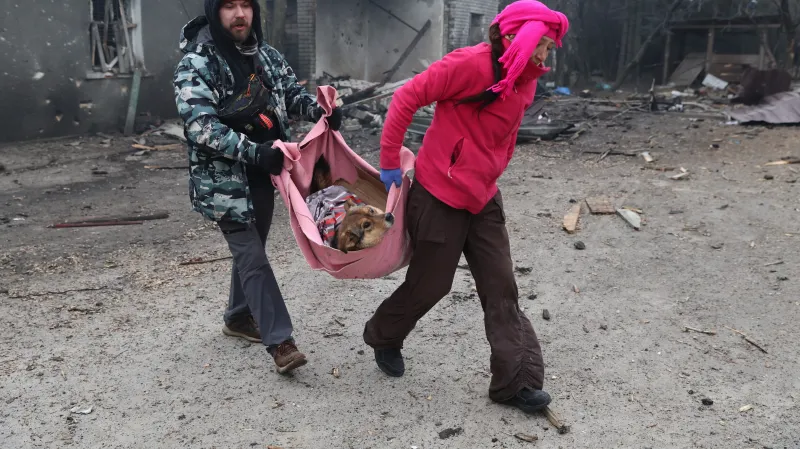 Lidé evakuují zraněné psy po ruském útoku na útulek v Záporoží