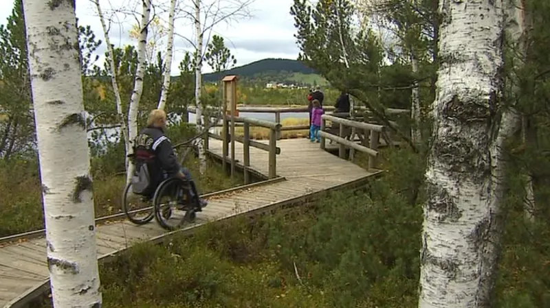 Stezky pro vozíčkáře na Šumavě
