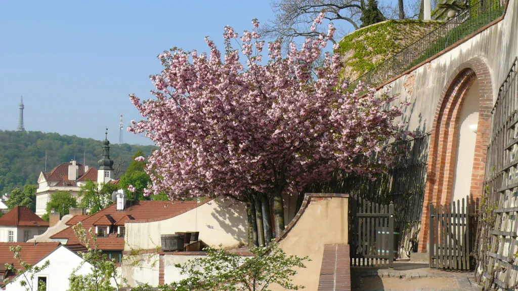 Zahrady pod Pražským hradem
