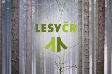 Odvolaného ředitele Lesů ČR nahradí Vojáček, zájem o post mělo jedenáct uchazečů