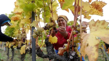 Ilustrační fotografie