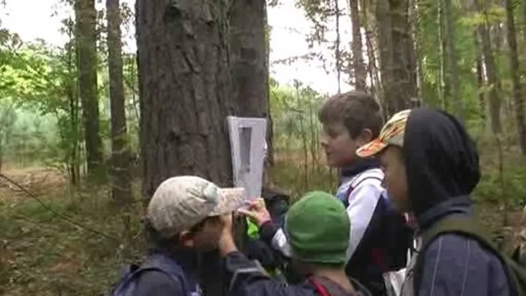 Projektový den Barevný podzim