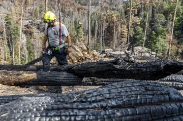 Déšť zchladil požářiště v Českém Švýcarsku. Drony poprvé nenašly rizikové místo