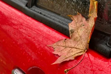 Na jižní Moravě bude silně foukat