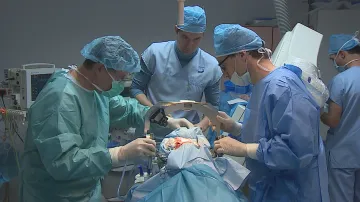 Aplikace léku do mozku prasete