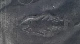 Ryba na planině Nazca - vylepšená fotografie