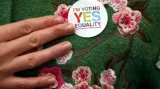 Irsko hlasuje o sňatcích homosexuálů