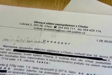 Nový fenomén cizinecké policie: otcovství za úplatu